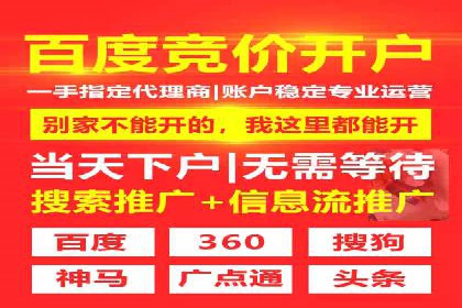 搜索引擎营销（SEM）托管服务在某企业的成功应用